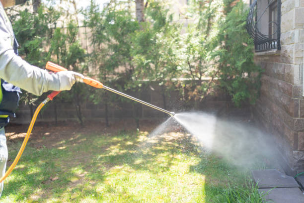 Wasp Removal Services in Searles Valley, CA