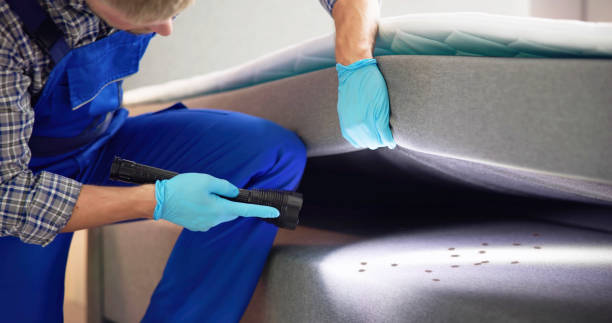 Best Mosquito Control Services  in Searles Valley, CA
