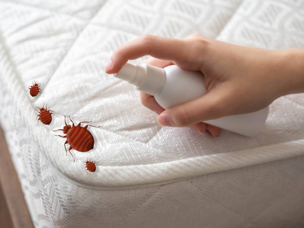 Best Best Pest Control Companies  in Searles Valley, CA