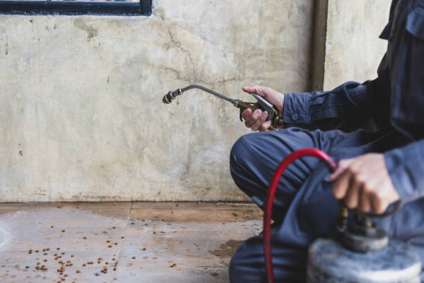 Best Best Pest Control Companies  in Searles Valley, CA